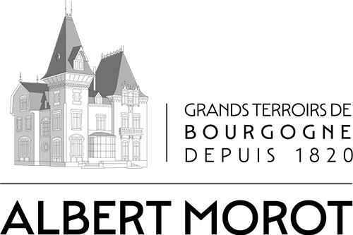 domaine-albert-morot-beaune